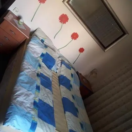Hasnur Apts シダ